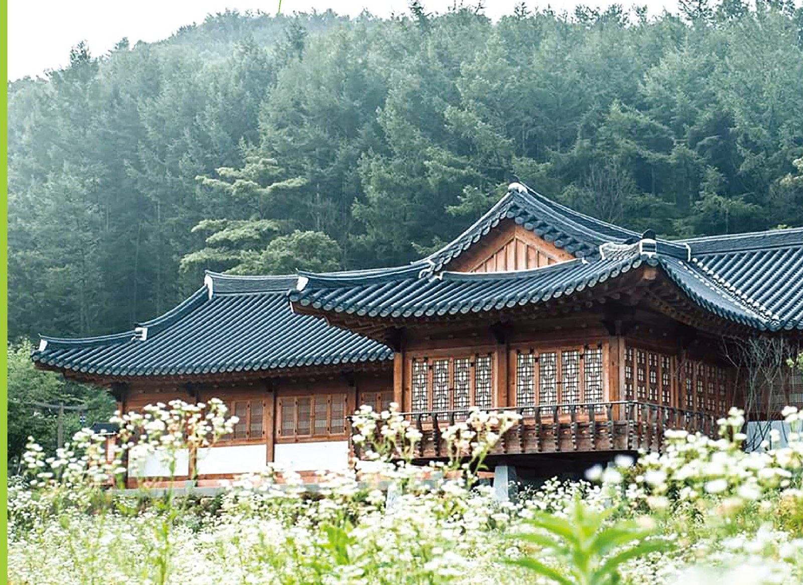 전북 웰니스 관광 대표 사진